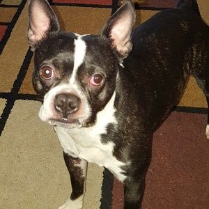 Meet your Posher, Jamie